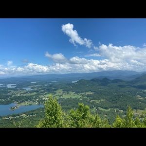 Meet your Posher, Carter